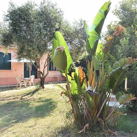 Terracorse Villa Figari  Exteriör bild