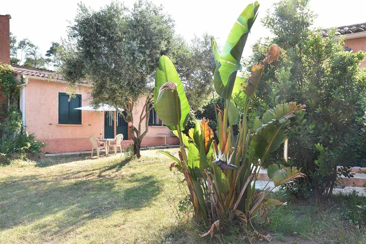 Terracorse Villa Figari  Exteriör bild